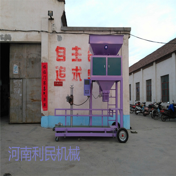 DCS-B100 * 2-DLJ type electric packing scale (double scales)